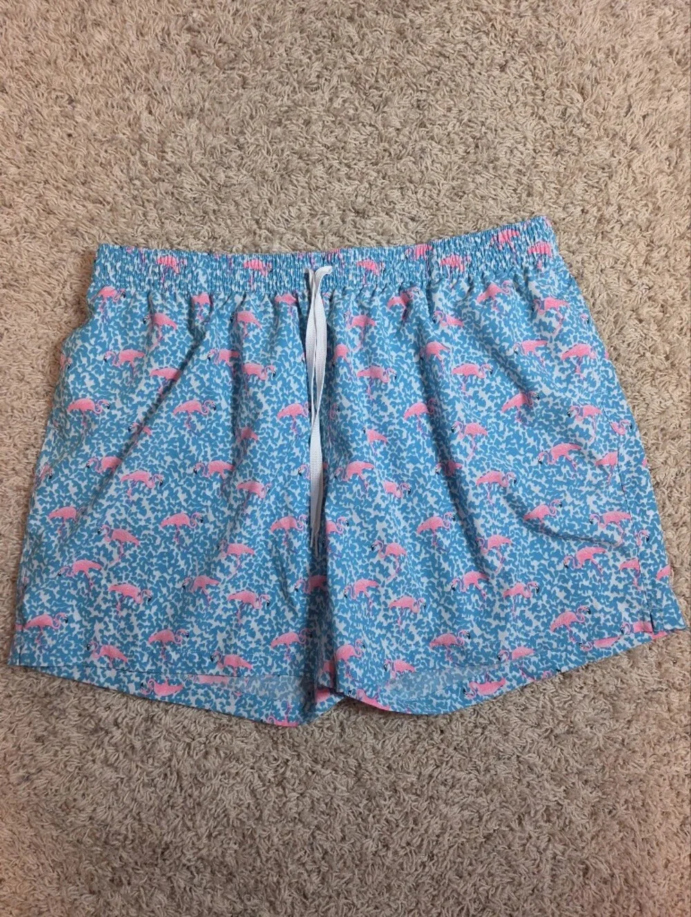 Chubbies 5.5 Inch Inseam Blue & Pink Flamingo Print Shorts